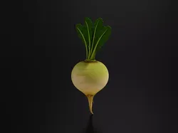 Food VegetablesTurnip 3D print model