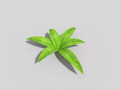 Low poly Plant leaf Low-poly 3D model