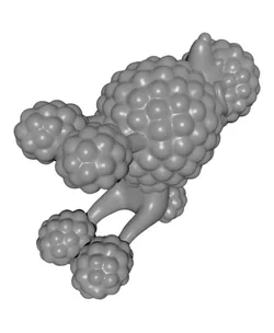 POODLE