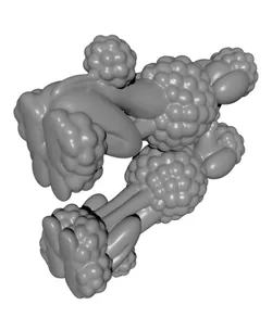 POODLE