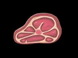 Stylized Meat - AI Low-poly 3D model