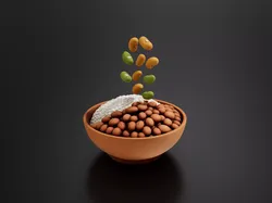 Food Traditional - Home FoodsRice with Beans 3D print model