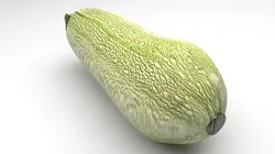 Grey Zucchini 3D model