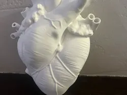 heart  - Free 3D Print Model