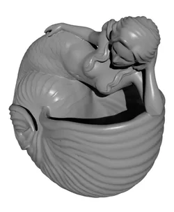 Mermaid Nautilus Succulent Planter STL | Fantasy Shell Plant Pot | 3D Printable Coastal Home Decor