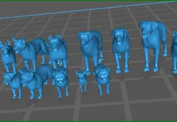 pack of dog 1.64