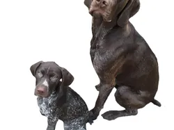 PJ and Ruby - Free 3D Print Model