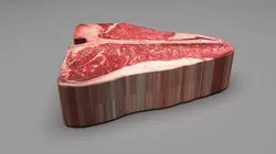 T Bone Beef Steak 3D model