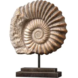 Nautilus Shell Sculpture Ammonite Mounted Nautilus Statuette 3D model