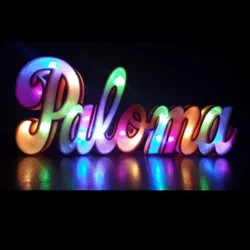 ILLUMINATED SIGN - DOVE