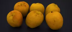 JAPANESE KAKI PEACH 2024 3D model
