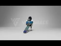 Oriental Magpie Animation - Blender 3D model
