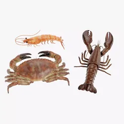 Shrimp Crab Lobster - Crustacean Collection 3D model