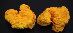 CHICKEN BUTTER STRIPS 2024 3D model