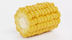 Corn Cob Piece Section V1 - Sliced Yellow Maize  3D model