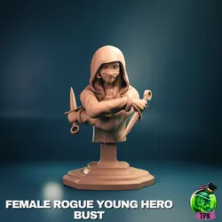 Female Rogue Young Hero Bust (stealth)