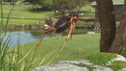 Gryllinae Jumping 3D model