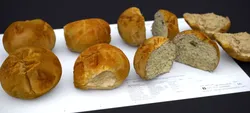 HARD ROLLS 2024 3D model
