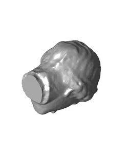 Head of an Olympian Goddess