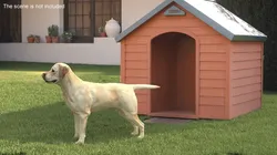 Labrador Dog White with Muzzle 3D model