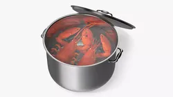 Lobsters Boiling in Water Pot 3D model