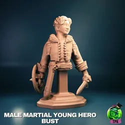 Male Martial Young Hero Bust