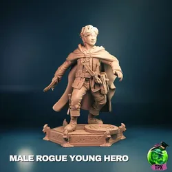 Male Rogue Young Hero