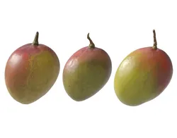 Mango fruit 3D Model Pack
