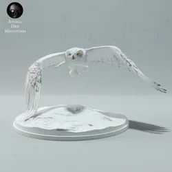 Snowy Owl