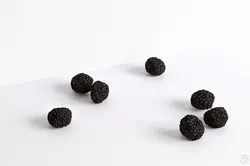 Truffle 3D model