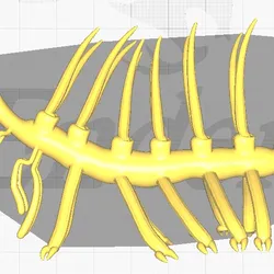 3D model represents the extinct genus Hallucigenia