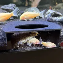 Aquarium Hide Aquarium Cave Aquarium Fish Tunnel