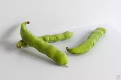 Bean pod 3D model