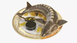 Caviar Plated Sturgeon Serving 3D model