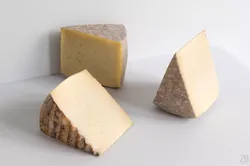 Cheese 3D model