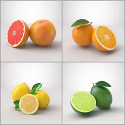 Citrus fruits  3D model
