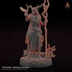 Elf Druidess - Resting in the forest