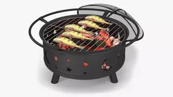 Fresh Yellow Perch on Outdoor BBQ Grill with Coals 3D model