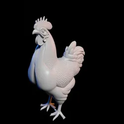 Hen