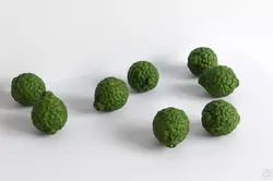 Lime  3D model