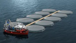 Marine Fish Cage Array with Central Pier and Catch Boat 3D model