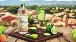 Tanqueray Rangpur Gin with Bergamot Cocktail Green 3D model