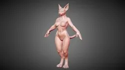 Anthro Female Feline Base