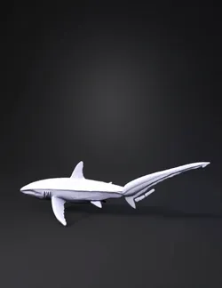 blue gray shark with white underside streamlined body and fins