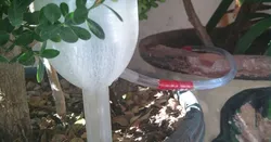 Drip Irrigation Watering System