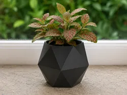 Gratis Home Decorations & Ornaments STL indir - Home Hexa flower pot - Warjacob