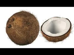 4k scanned coconut 02 3D model