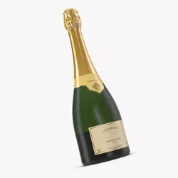 French Champagne Bottle Generic 3D model