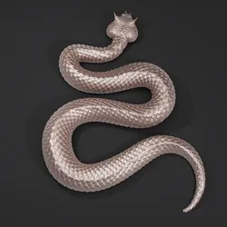 Horned Viper