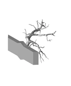 Jewelry tree